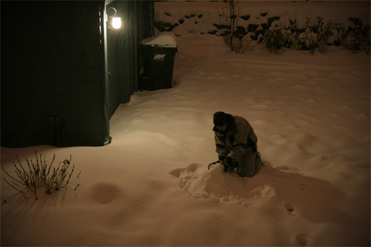 20081220-shane-in-snow-small