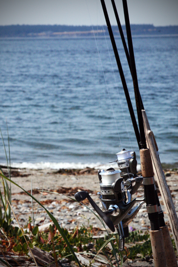 20090803 fishing poles small