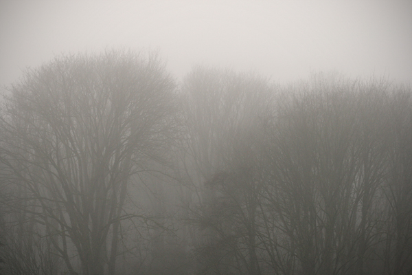 20130120 morning fog sm