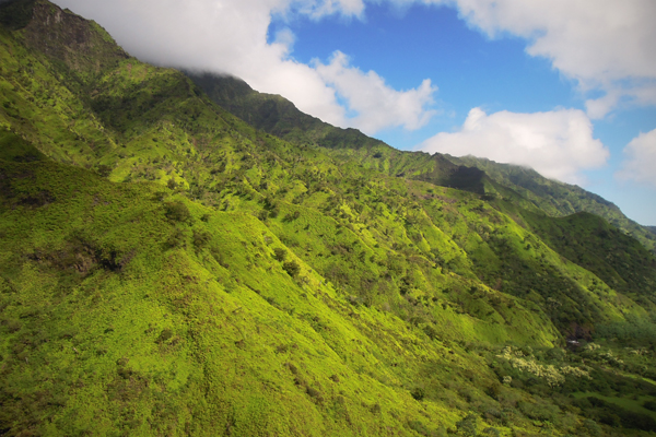 20130531 kauai26 sm