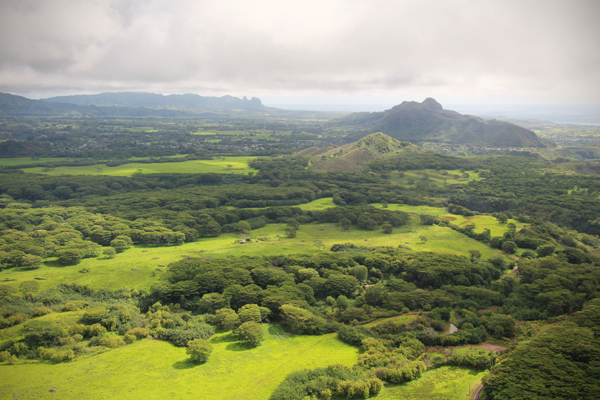 20130531 kauai32 sm