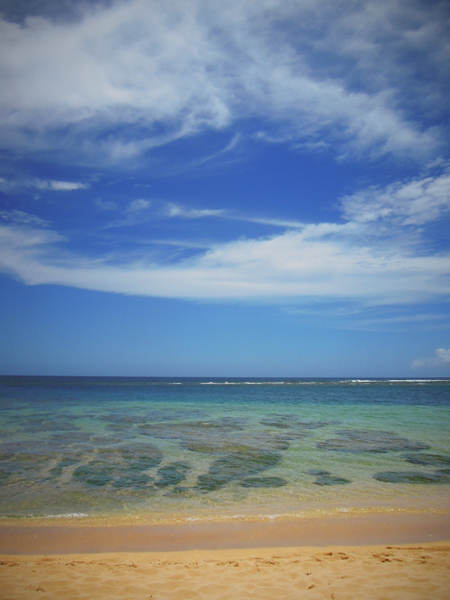 20130601 kauai2 sm