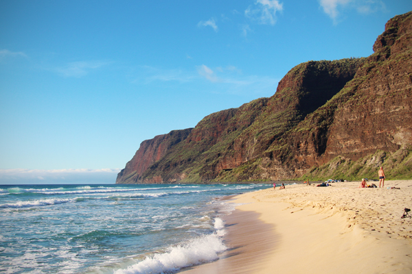 20130602 kauai4 sm