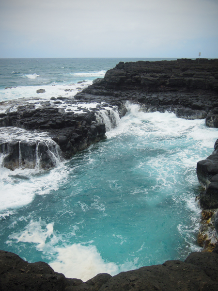 20130603 kauai5 sm