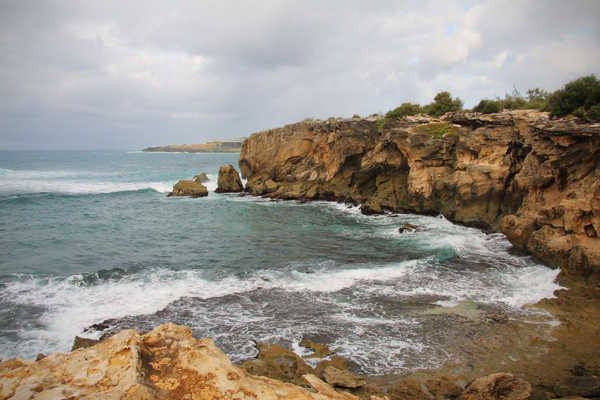 20130604 kauai1 sm