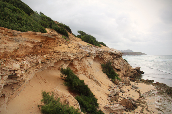 20130604 kauai5 sm