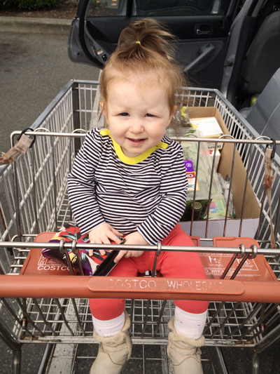 20140516 shopping cart sm