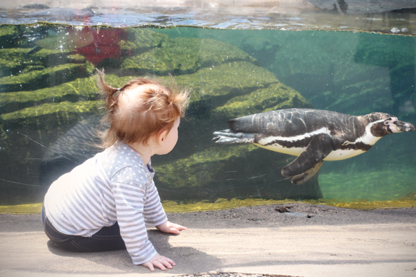 20140612 zoo2 sm