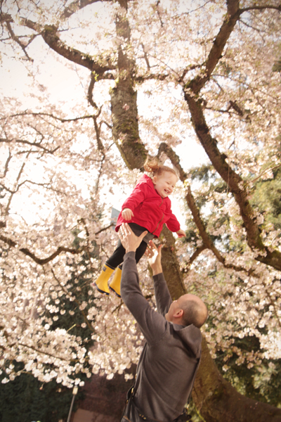 20150321 cherry blossoms11 sm