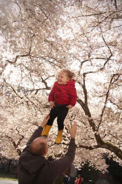 20150321 cherry blossoms8 sm