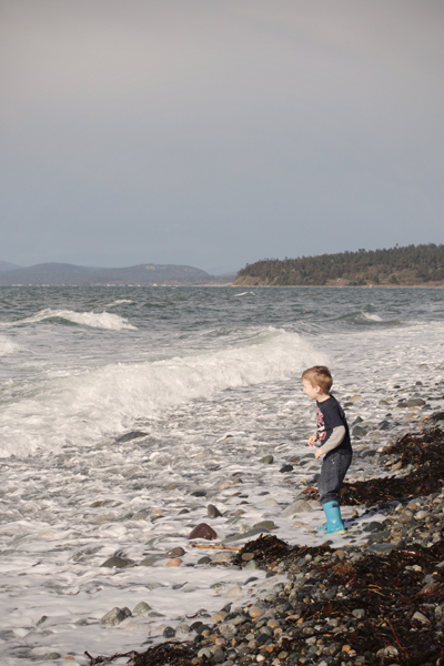 20150403 whidbey island3 sm