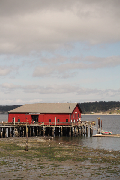 20150404 whidbey island5 sm