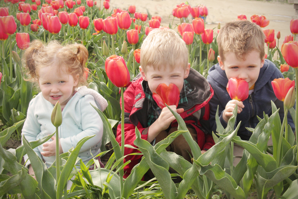 20150405 tulips5 sm