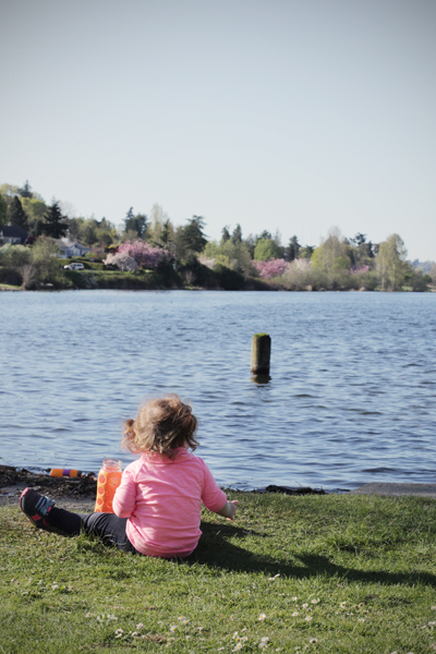 20150409 lake washington blossoms7 sm