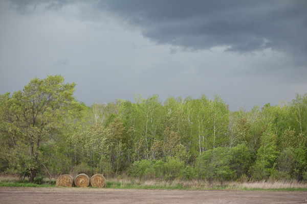 20150517 minnesota14 sm