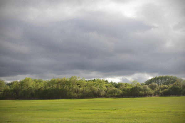 20150517 minnesota17 sm