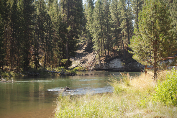 20150720 la pine state park2 sm