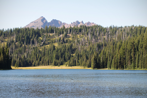 20150720 todd lake2 sm