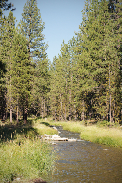 20150721 mckay falls9 sm