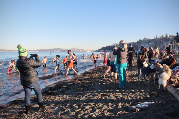 20160101 alki plunge1 sm