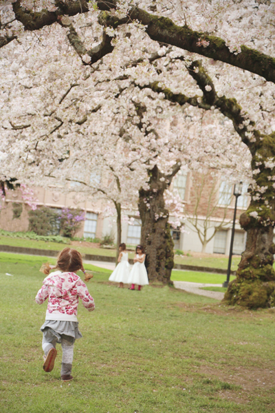 20160318 uw cherry blossoms1 sm