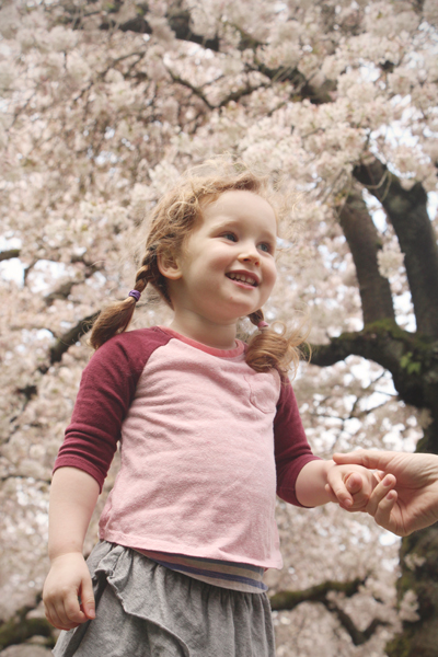 20160318 uw cherry blossoms13 sm