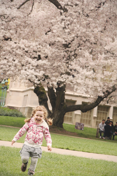 20160318 uw cherry blossoms2 sm