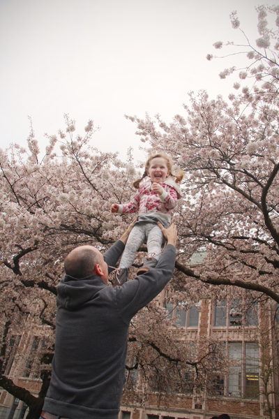 20160318 uw cherry blossoms5 sm