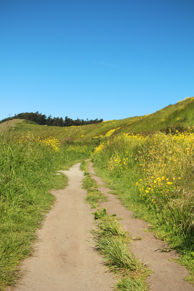 20160501 whidbey island13 sm