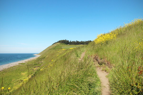 20160501 whidbey island15 sm