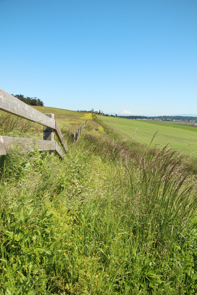 20160501 whidbey island20 sm