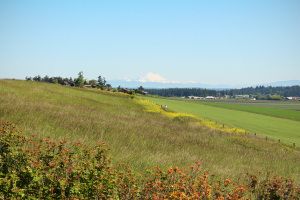 20160501 whidbey island21 sm