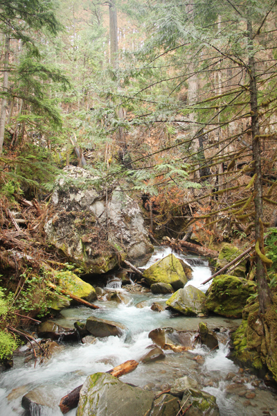 20160717 ladder creek falls1 sm