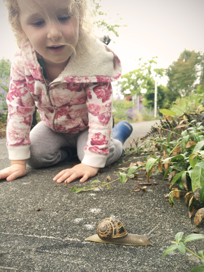 20160708-snail-hunting-sm