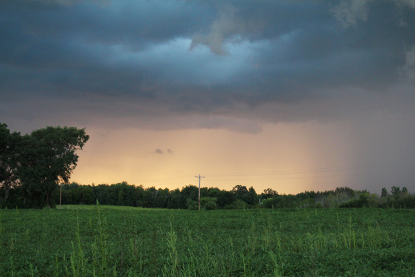 20160813 minnesota44 sm