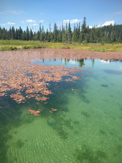 20160831 hosmer lake12 sm