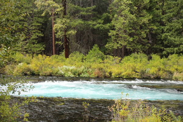 20160901 metolius river20 sm