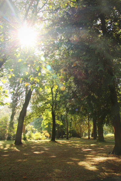 20160930-volunteer-park1-sm