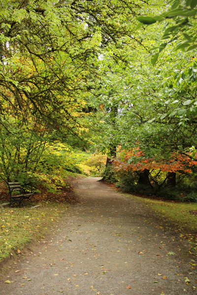 20161009-arboretum1-sm