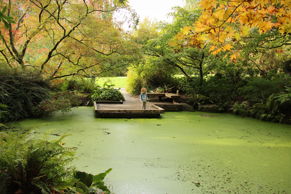 20161009-arboretum10-sm