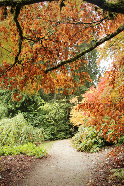 20161009-arboretum5-sm