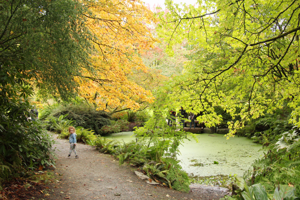 20161009-arboretum8-sm