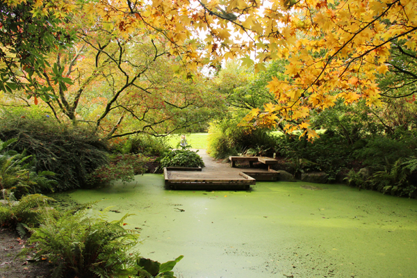 20161009-arboretum9-sm