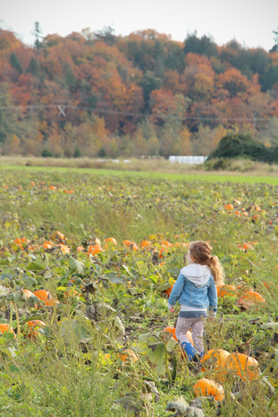 20161022-pumpkin-patch7-sm