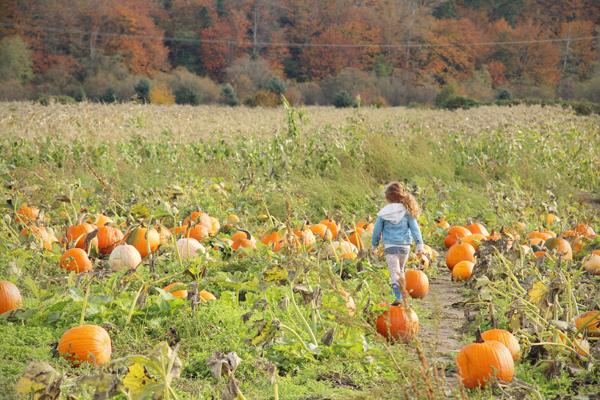 20161022-pumpkin-patch8-sm