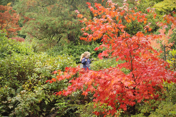 20161023-kubota-gardens7-sm