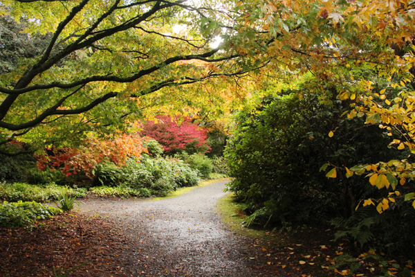 20161023-kubota-gardens8-sm