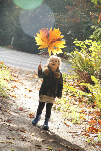 20161104-carkeek-park1-sm