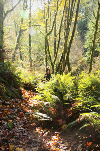 20161104-carkeek-park10-sm