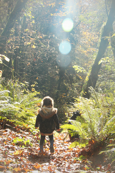 20161104-carkeek-park12-sm